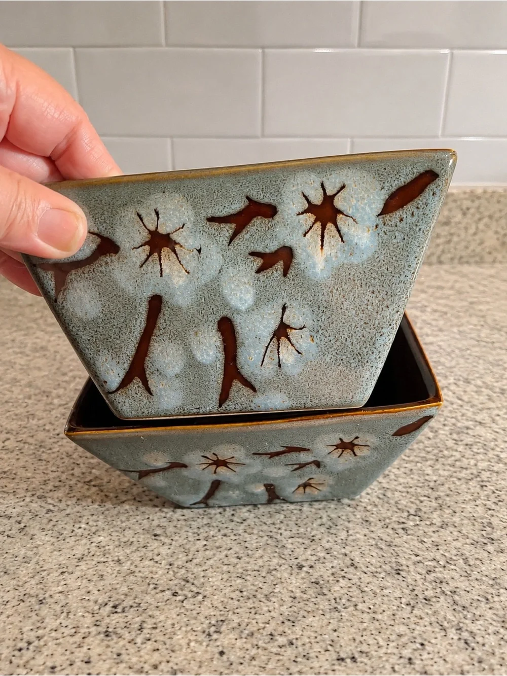 Set of 2 Pier 1 “Tranquil” Stoneware Bowls